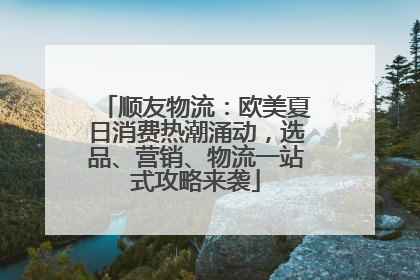 顺友物流：欧美夏日消费热潮涌动，选品、营销、物流一站式攻略来袭