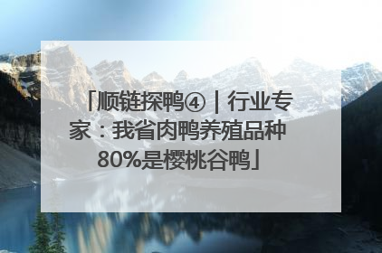 顺链探鸭④｜行业专家：我省肉鸭养殖品种80%是樱桃谷鸭