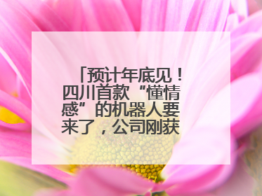预计年底见！四川首款“懂情感”的机器人要来了，公司刚获数千万元融资