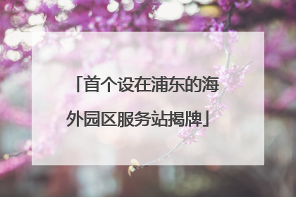 首个设在浦东的海外园区服务站揭牌