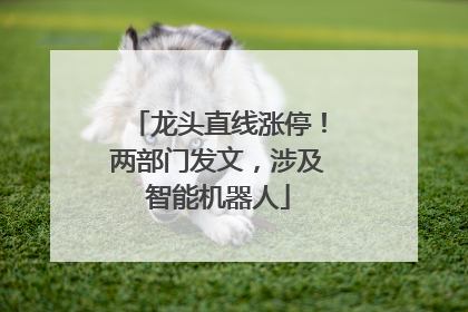 龙头直线涨停！两部门发文，涉及智能机器人