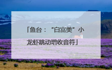 鱼台：“白富美”小龙虾跳动增收音符