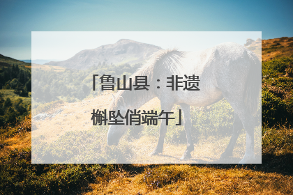鲁山县：非遗槲坠俏端午