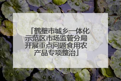 鹤壁市城乡一体化示范区市场监管分局开展重点问题食用农产品专项整治