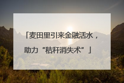 麦田里引来金融活水，助力“秸秆消失术”