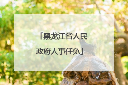 黑龙江省人民政府人事任免