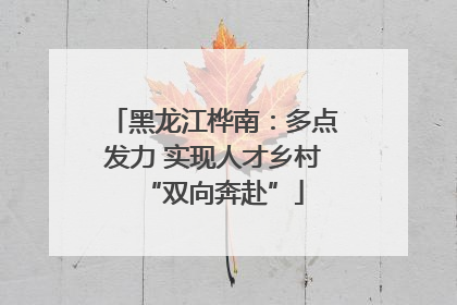 黑龙江桦南：多点发力 实现人才乡村“双向奔赴”