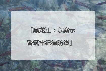 黑龙江：以案示警筑牢纪律防线