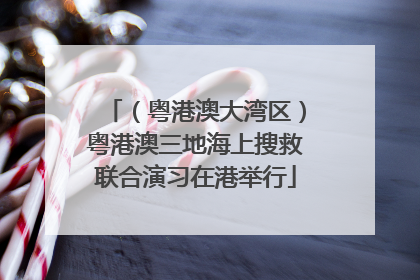 （粤港澳大湾区）粤港澳三地海上搜救联合演习在港举行
