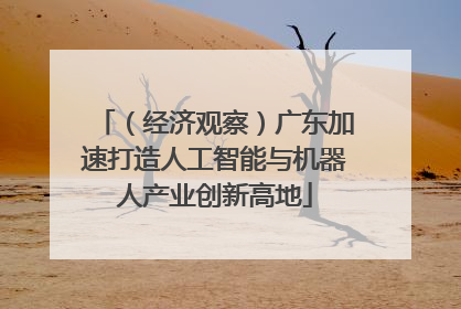 （经济观察）广东加速打造人工智能与机器人产业创新高地