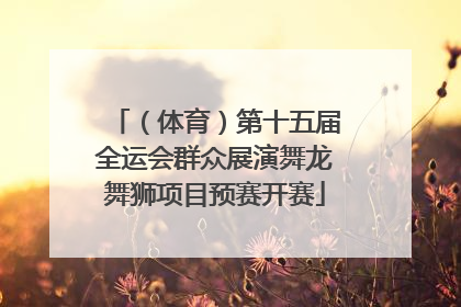 （体育）第十五届全运会群众展演舞龙舞狮项目预赛开赛