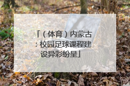 （体育）内蒙古：校园足球课程建设异彩纷呈