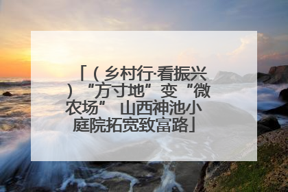 （乡村行·看振兴）“方寸地”变“微农场” 山西神池小庭院拓宽致富路