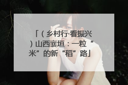 （乡村行·看振兴）山西襄垣：一粒“米”的新“稻”路