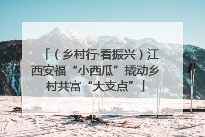 （乡村行·看振兴）江西安福“小西瓜”撬动乡村共富“大支点”