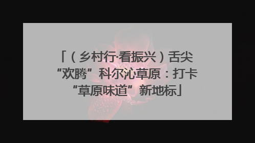 （乡村行·看振兴）舌尖“欢腾”科尔沁草原：打卡“草原味道”新地标