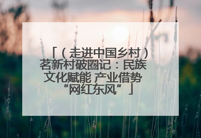 （走进中国乡村）茗新村破圈记：民族文化赋能 产业借势 “网红东风”