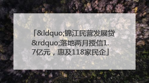 “锦江民营发展贷”落地两月授信1.7亿元，惠及118家民企