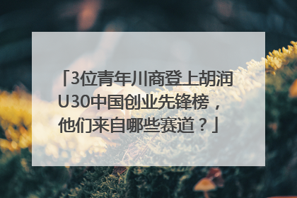 3位青年川商登上胡润U30中国创业先锋榜，他们来自哪些赛道？