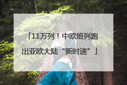 11万列！中欧班列跑出亚欧大陆“新时速”