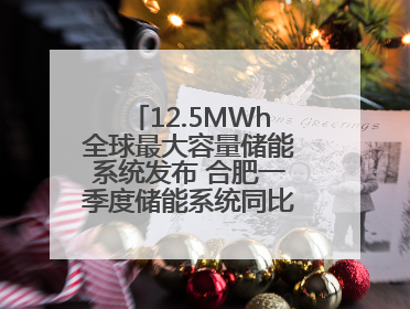 12.5MWh全球最大容量储能系统发布 合肥一季度储能系统同比增长425%
