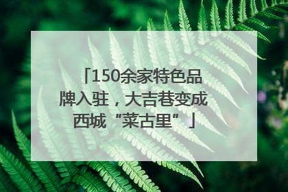 150余家特色品牌入驻，大吉巷变成西城“菜古里”