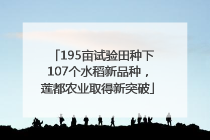 195亩试验田种下107个水稻新品种，莲都农业取得新突破