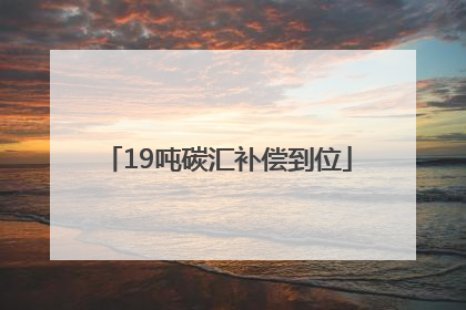 19吨碳汇补偿到位