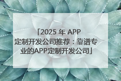2025 年 APP 定制开发公司推荐：靠谱专业的APP定制开发公司