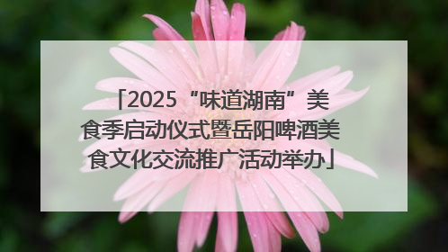 2025“味道湖南”美食季启动仪式暨岳阳啤酒美食文化交流推广活动举办