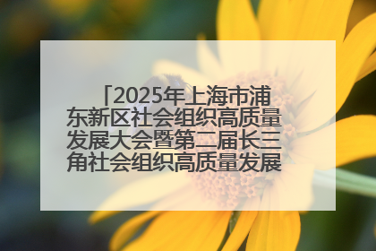 2025年上海市浦东新区社会组织高质量发展大会暨第二届长三角社会组织高质量发展峰会成功举办