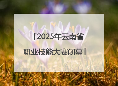 2025年云南省职业技能大赛闭幕