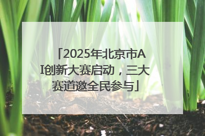 2025年北京市AI创新大赛启动，三大赛道邀全民参与