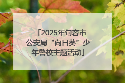 2025年句容市公安局“向日葵”少年警校主题活动