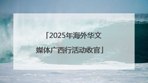 2025年海外华文媒体广西行活动收官