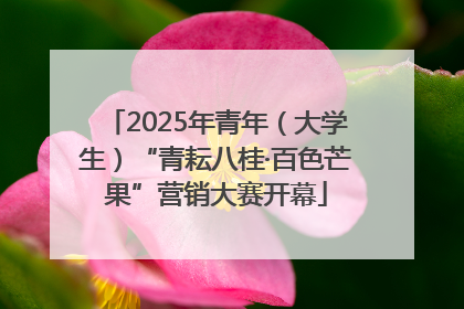 2025年青年（大学生）“青耘八桂·百色芒果”营销大赛开幕