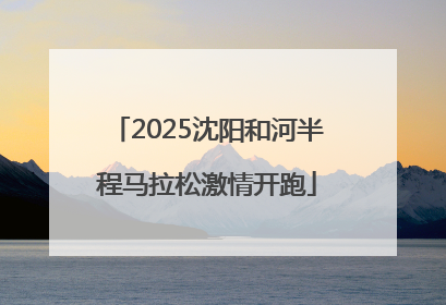 2025沈阳和河半程马拉松激情开跑