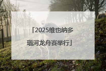 2025维也纳多瑙河龙舟赛举行