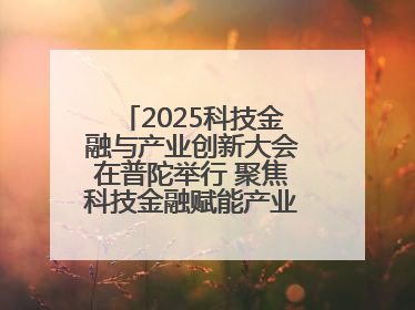 2025科技金融与产业创新大会在普陀举行 聚焦科技金融赋能产业升级之策