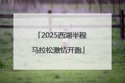 2025西湖半程马拉松激情开跑