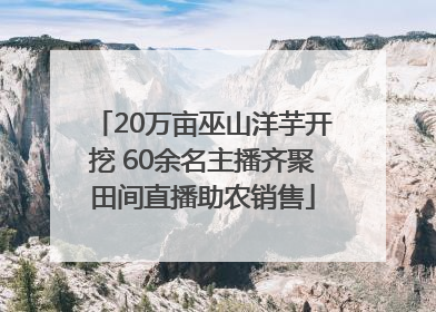 20万亩巫山洋芋开挖 60余名主播齐聚田间直播助农销售