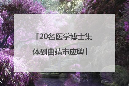 20名医学博士集体到曲靖市应聘