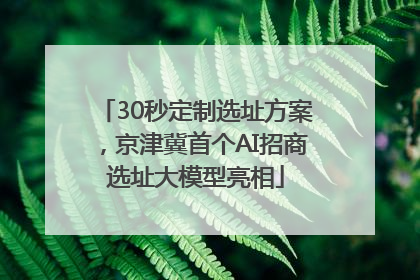 30秒定制选址方案，京津冀首个AI招商选址大模型亮相