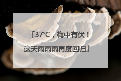 37℃，梅中有伏！这天雨雨雨再度回归