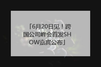 6月20日见！跨国公司峰会首发SHOW嘉宾公布
