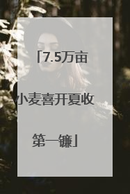 7.5万亩小麦喜开夏收第一镰