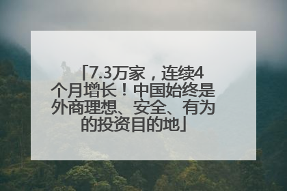 7.3万家，连续4个月增长！中国始终是外商理想、安全、有为的投资目的地