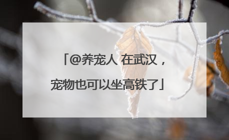 @养宠人 在武汉，宠物也可以坐高铁了