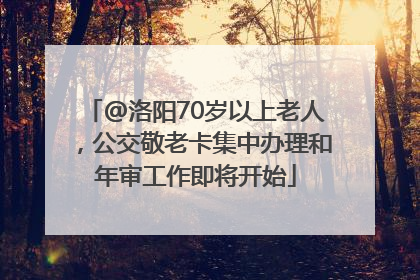 @洛阳70岁以上老人，公交敬老卡集中办理和年审工作即将开始