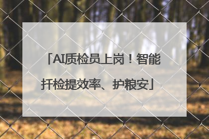 AI质检员上岗！智能扦检提效率、护粮安